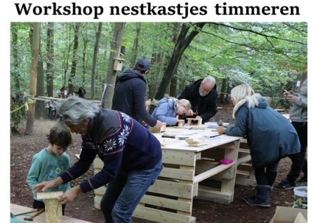 logo 'workshop nestkastjes timmeren of insectenhotelletjes bouwen'